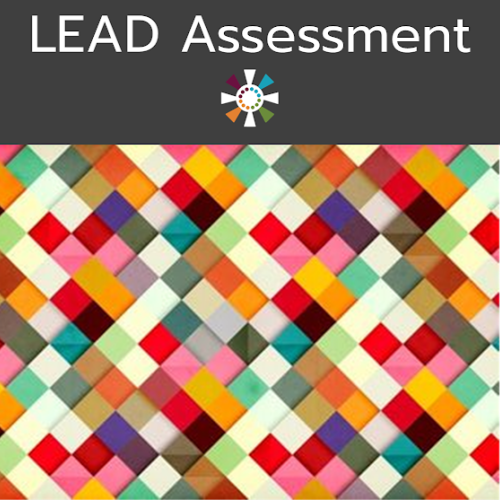 LEAD Assessment LEADconnects