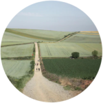 seminar journey web