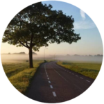 semester journey new web