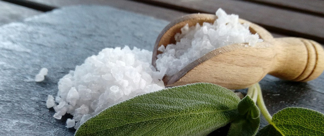 Salt of the Earth